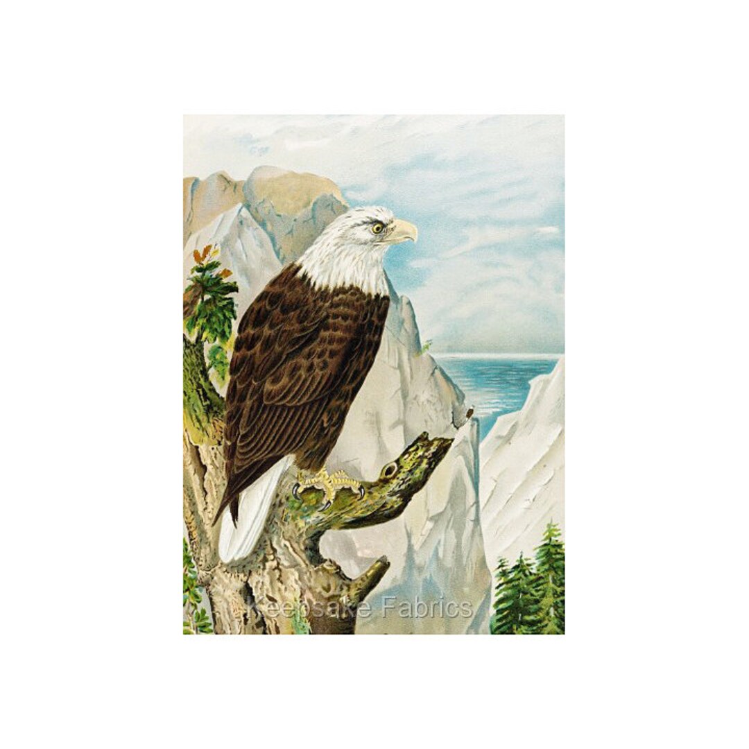 American Bald Eagle Reproduction Fabric Crazy Quilt Block Free Shipping