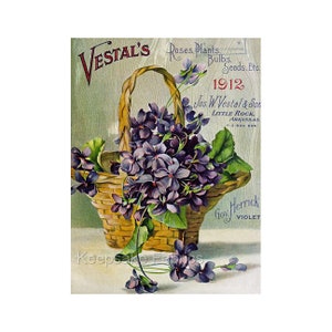 May include: Vintage advertisement for Vestal's Roses, Plants, Bulbs, Seeds, Etc. featuring a basket overflowing with purple violets. The ad includes the text "Keepsake Fabrics" and "Gov. Herrick Violet".