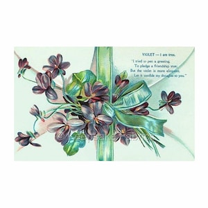 Violets Friendship True Reproduction Fabric Crazy Quilt Block Free Shipping