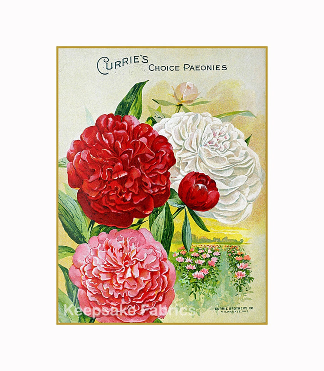 Fabric Block Peonies Flowers Seed Packet Free Shipping 706B - Etsy
