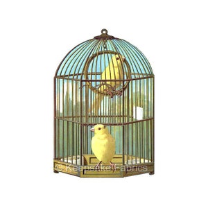 Caged Canaries Birds Reproduction Fabric Crazy Quilt Block Quilting Sewing Crafting