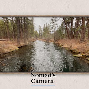 Mountain Creek Photography Print, Pine Forest River Landscape (Digital Download)