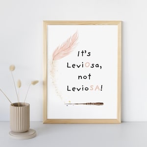 May include: A framed print with the text "It's Leviosa, not LevioSA!" in black font. The print features a pink feather, a wand, and a light brown wooden frame. A small vase with dried flowers is in the foreground.