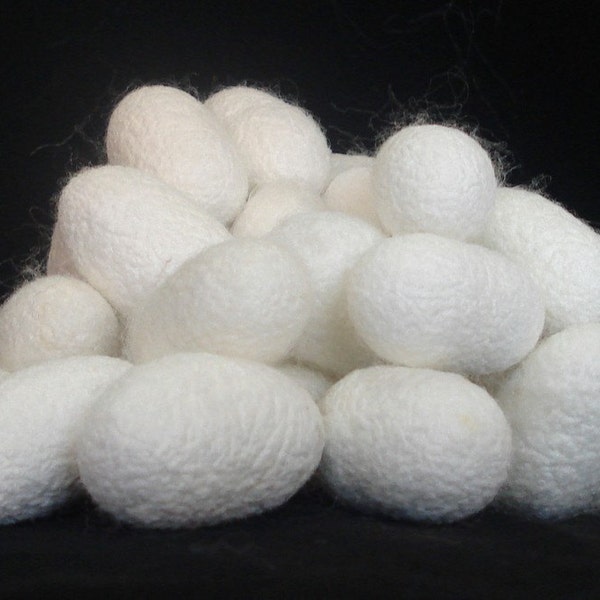 Three Dozen Silk Cocoons - Ships Free