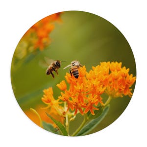 Floral Bee Mouse Pad