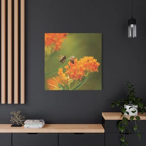 Bee Canvas Print
