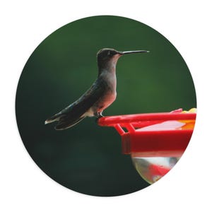 Hummingbird Mouse Pad