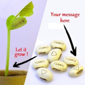 Magic Bean - Customizable Engraved Seed