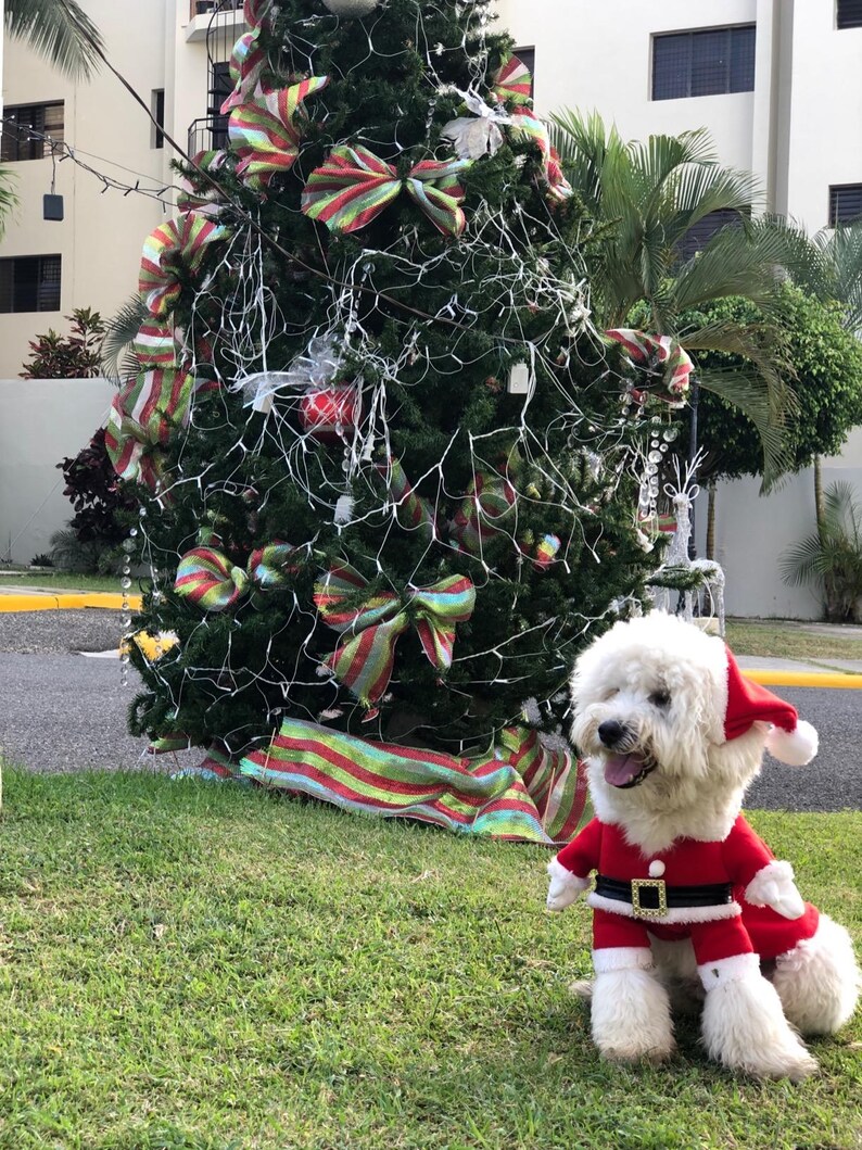 Santa Dog Costume Festive Christmas Pet Outfit With Hat Etsy — free download