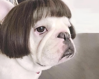 Pet Halloween Costume for Dogs & Cats - Funny Pet Wig – Hilarious Costume Wig – Pet Wig for Parties and Photos - Trimmable Pet Wig