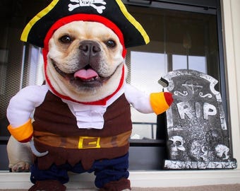 Pirate Halloween Costume for Dogs & Cats – Funny Pet Outfit – Cat Pirate Costume – Dog Halloween Costume