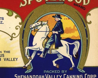 20 Different Can labels from Virginia - Luray Richmond Roanoke Staunton Winchester