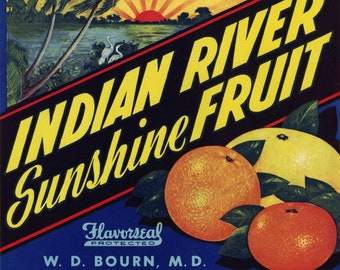 Original Vintage Florida Crate Label Indian River Sunshine Fruit Fort Pierce