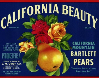 Tasmania Australia Beautiful Apple Fruit Crate Label Art Print