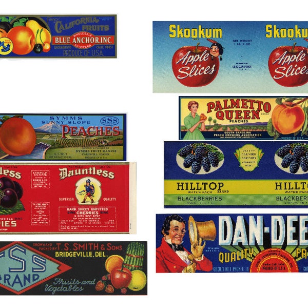 12 Different Cannery Fruit Labels Apples Cherries Apricots Berries
