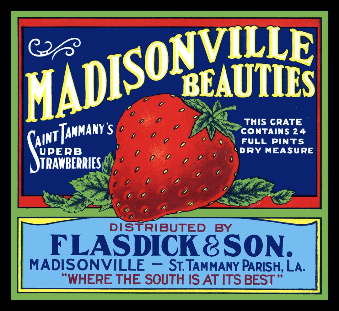 Madisonville Louisianna Strawberries Large Refrigerator Free US