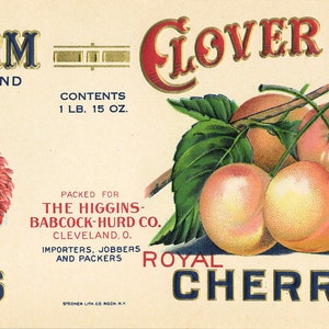 11 Vintage Fruit Cannery Labels image 4