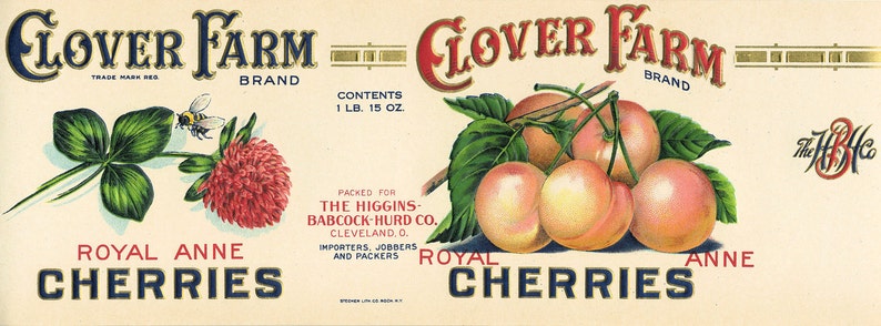 11 Vintage Fruit Cannery Labels image 4