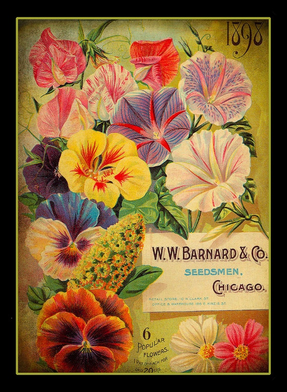 Chicago Flower Seed Magazine Cover Refrigerator Etsy