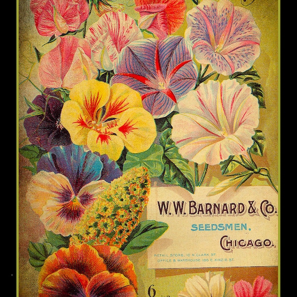 Chicago Flower Seed Magazine Cover Large Refrigerator Magnet  Free US Shipping