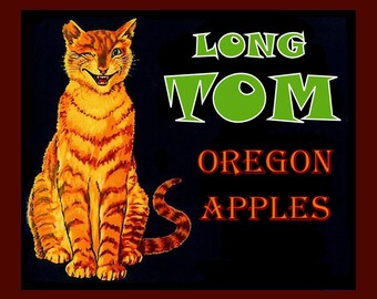 Long Tom Cat Oregon Apples Large Refrigerator Magnet Free US Shipping