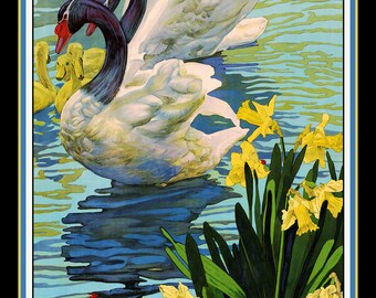 Kew Gardens Swans Daffodils Lake Large Refrigerator Magnet