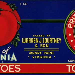 10 Different Tomato Can Labels Set 1 - Etsy