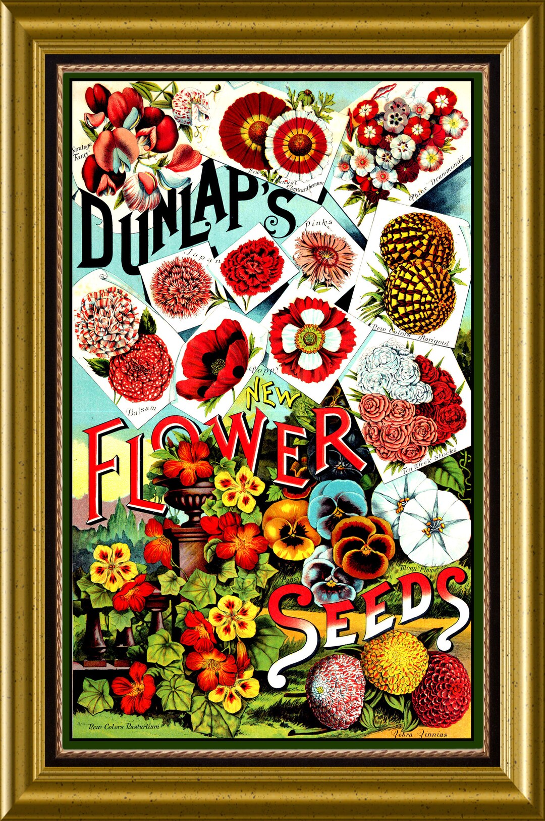 Dunlap Garden Vintage Flowers Seed Packet Catalog Etsy