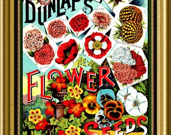 Dunlap Garden Vintage Flowers Seed Packet Catalog Advertisement Large Refrigerator Magnet