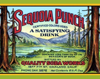 Sequoia Punch Label Redwoods Oakland Large Refrigerator Magnet    Free U.S. Shipping