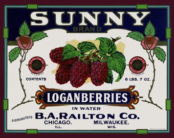 Sunny Loganberries  Refrigertor Magnet  Free US Shipping