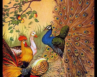 Peacock and Chickens Refrigertor Magnet  Free US Shipping