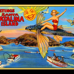 Greetings from Santa Catalina Island California Large Refrigerator Magnet  Free US Shipping