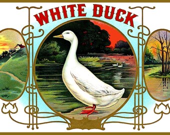 White Duck  Large Refrigerator Magnet  Free US Shipping