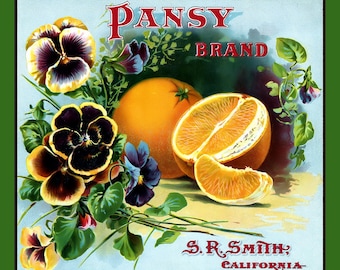 Pansy Oranges Large Refrigerator Magnet   Free US Shipping