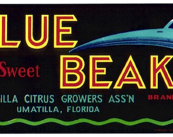 10 Different Rarer Florida Citrus Crate Labels