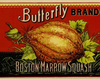 Original Vintage Can Label Butterfly Boston Marrow New York