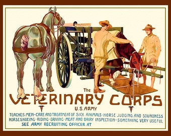 WWI US Veterinary Corp   Large Refrigerator Magnet  Free US Shipping