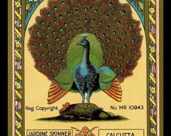 Peacock Clothing Label   Large Refrigerator Magnet  Free US Shipping