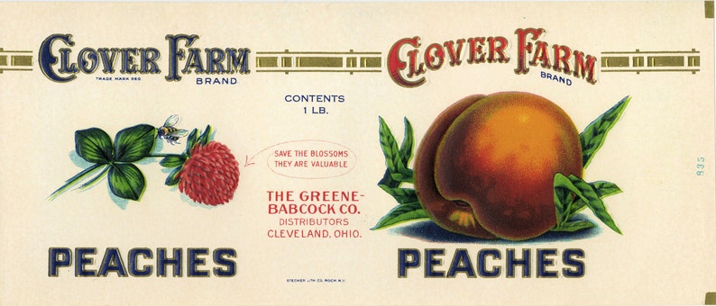 11 Vintage Fruit Cannery Labels image 2