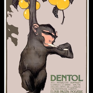 May include: A vintage poster advertising Dentol, a toothpaste product. The poster features a cartoon monkey holding a toothbrush and a branch of yellow fruit. The text on the poster reads "Dentol, agli antisettici composti, guarisce le carie, calma i dolori di denti, da allo smalto una bianchezza lucente, Elixir-Pasta-Polvere, L'Erre, via Jacob, Paris, Deposito Generale Italia, G.B. Dolara Milano, L'indirizzo principali negozi di profumeria."