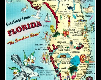 Greetings from Florida the Sunshine State Retro Postcard Large Refrigerator Magnet  Free US Shipping