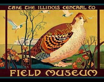 Illinois Central  Bird   Large Refrigerator Magnet  Free US Shipping