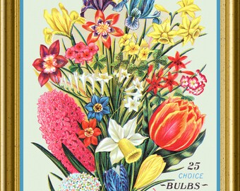 1897 Conrad Garden Vintage Flowers Seed Packet Catalog Advertisement Large Refrigerator Magnet  Free US Shipping