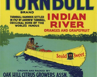 Original Turnbull Indian River Citrus Crate Label Oak Hill Florida