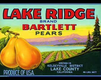 Lake Ridge Pear Label Large Refrigerator Magnet   Free US Shipping