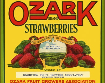Ozark Missouri StrawberriesLarge Refrigerator Magnet   Free US Shipping