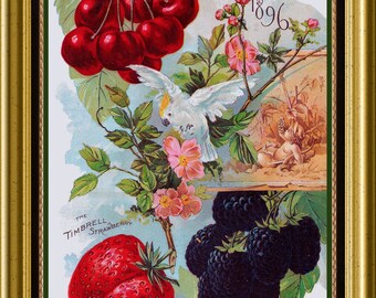 1896 Reids Garden Vintage Flowers Seed Packet Catalog Advertisement Large Refrigerator Magnet