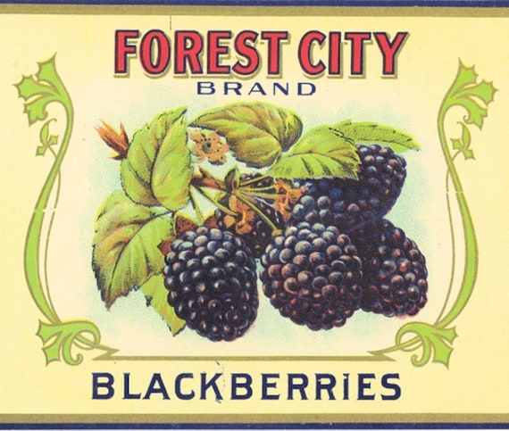 FOREST CITY RASPBERRIES Tin Can Label original 1920s ALLEN BROS OMAHA NEBRASKA
