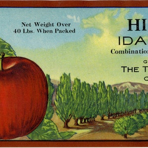 May include: Vintage advertisement for Hillcrest Brand Idaho Apples. The image features two large red apples on a branch with green leaves. Text includes "Net Weight Over 40 Lbs. When Packed" and "Grown and Shipped by The Talcott Orchards, Caldwell, Idaho."